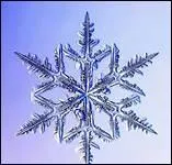 Le bb de Joe pleure quand :