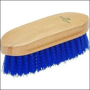 Comment s'appelle cette brosse ?