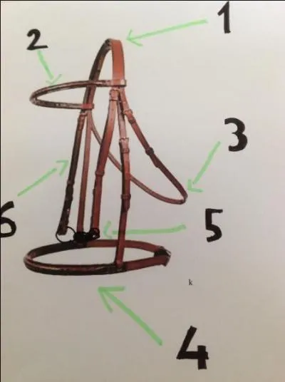 Comment s'appelle la partie 5 ?