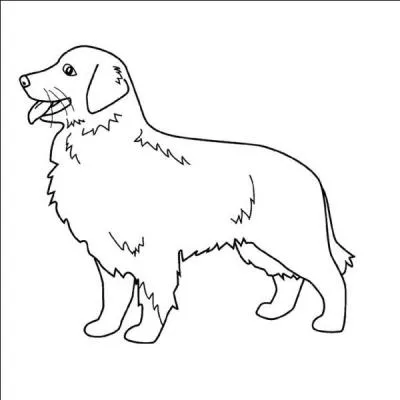 Quel est le mot en rapport avec l'image ?