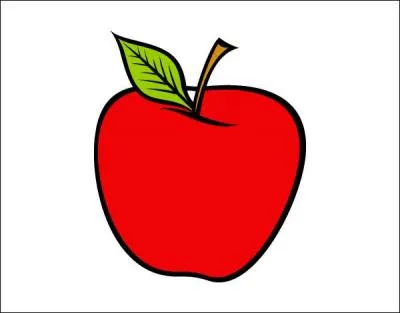 Quel est le mot en rapport avec l'image ?