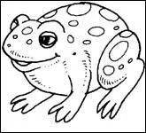 Quel est le mot en rapport avec l'image ?