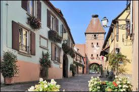 Pour commencer ce nouveau voyage franco-allemand, nous allons visiter la ville d'Ammerschwihr. Pour cela, nous devons nous rendre ...