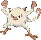 Quel est le nom de ce Pokmon ?