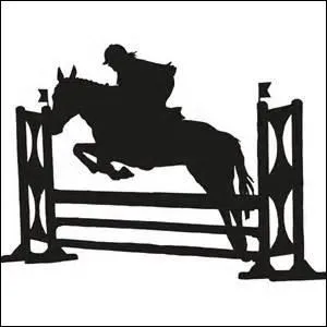 Comment s'appelle cette discipline ?