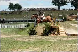 Comment s'appelle cette discipline ?