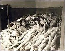 Quelle tait la deuxime aprs la confrence de Wannsee ?