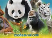 Quiz Zoo de Beauval