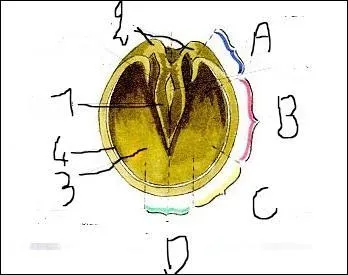 Comment s'appelle la partie 1 ?