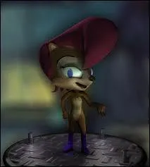 Que veut faire Sally ?