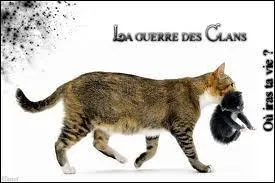 Combien a-t-il fait d'enfants ?