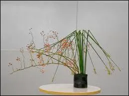 L'ikebana est une technique de composition florale qui nous vient aussi du Japon. Elle est base sur :