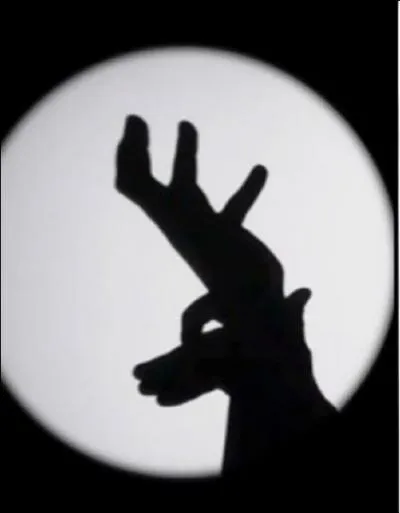 Quel peuple utilise cet animal, appel caribou, comme animal de trait et de bt ?