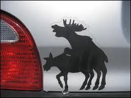 Quelle expression peut coller  l'image !