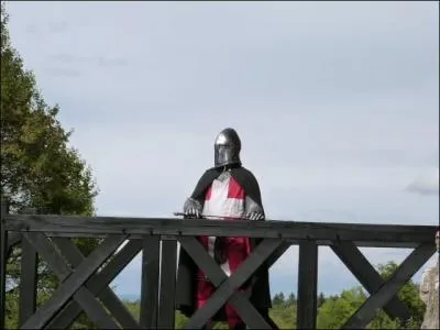 Il mit un terme  la guerre de 70 ans entre le Dauphin et la Savoie. En quel lieu se droula la dernire bataille o Amde vainquit Hugues de Genve ? alli des Dauphinois ?