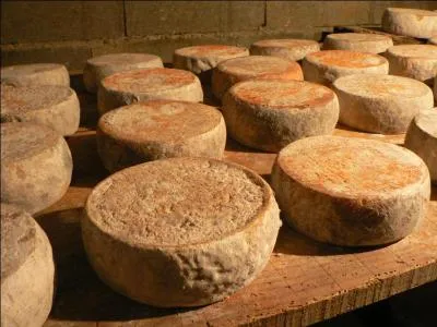 Comment s'appelle ce vigoureux fromage corse  base de lait de chvre ou de brebis ?