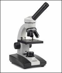 O pose-t-on l'objet que l'on veut observer au microscope ?