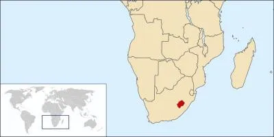 La photo ci-après représente le, la :