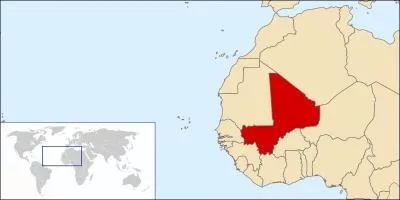 La photo ci-après représente le, la :