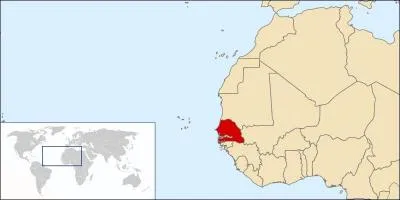 La photo ci-après représente le, la :