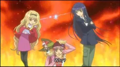 Qui est-ce qui hat le plus l'autre ?