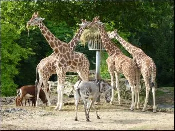 En quelle anne le parc a-t-il ouvert ?