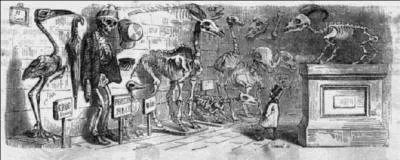 C'est une personne exerant l'activit bizarre de  Quimbois  ?