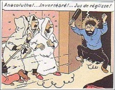 A vous de dire ce que signifie le mot  Anacoluthe  !