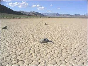 De quel parc s'agit-il ?