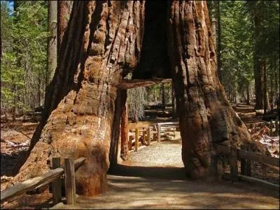 De quel parc s'agit-il ?