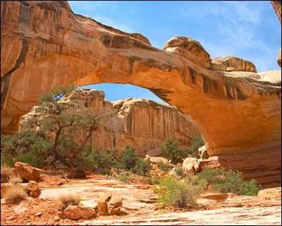 De quel parc s'agit-il ?