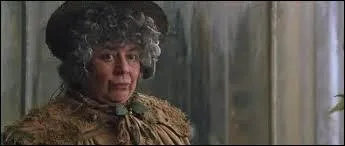 Quelle plante met-elle en place pour protger la Pierre philosophale ?