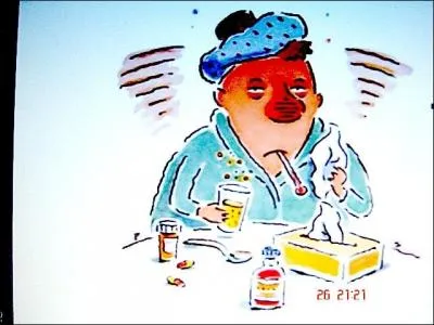 Contre la grippe, la version homopathique est aussi efficace que le vaccin classique.