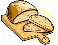 J'adore les animaux en particulier les chats, mais aussi les  la___ .