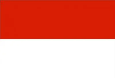 Quelle est la capitale du dpartement de Tarija ?