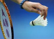 Quiz Joueurs de badminton franais