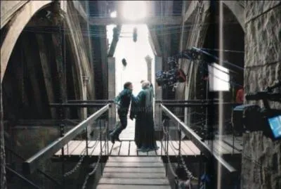 � quoi sert le Specialis Revelio ?