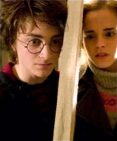 Qu'est-ce que le sortil�ge Avis ?