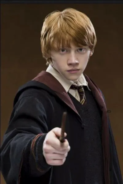 � quoi sert le sortil�ge Waddiwasi ?