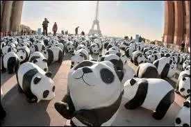 Donc, par limination, vous devriez deviner o se trouve le sige du Fonds mondial pour la nature (ou World Wide Fund) mieux connu sous les initiales WWF...