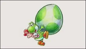 Sur quoi  Yoshi's New Island  va-t-il sortir ?