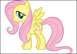 Donnez-moi le nom ce poney ?