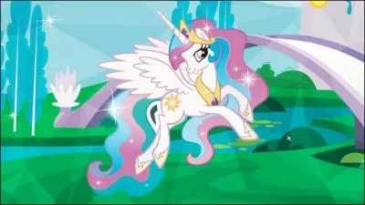 Quel est le nom de ce poney ?