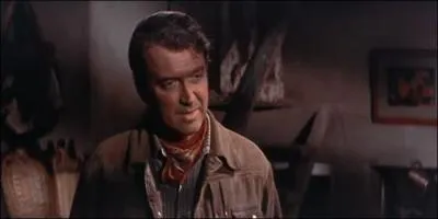 Quelques annes plus tard, en 1955, James Stewart joue dans  L'Homme de la plaine . Dirig par Anthony Mann, combien de westerns ont accompagn la collaboration entre les deux hommes ?