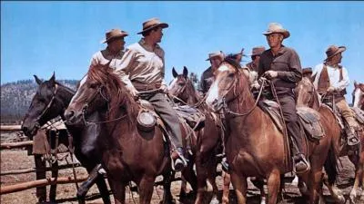 En 1966, le western nomm  Nevada Smith  sort au cinma. Ralis par Henry Hathaway, le western a inspir de nombreux cinastes hollywoodiens. Quel cinaste avait propos  Steven Spielberg le choix d'Indiana Smith pour une clbre saga cinmatographique avant que ce dernier n'opte pour Indiana Jones ?