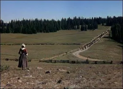 Nous sommes toujours en 1939. John Ford signe un nouveau western intitul  Sur la piste des Mohawks  mettant en scne des indiens Cherokee. Quel acteur tourne aux cts du ralisateur amricain ?