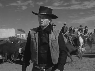 La mme anne, le ralisateur amricain Howard Hawks signe un classique du western avec  La Rivire rouge  qui raconte le priple de cow-boys guidant leur btail dans les plaines de l'Ouest amricain. Combien de btes sont prsentes  l'cran ?
