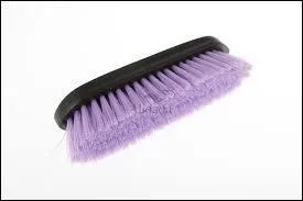 Laquelle de ces brosses correspond  l'image ?