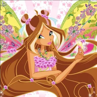 Quel est le nom de cette fe ?