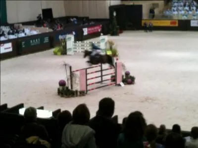 Quelle sorte de selle faut-il avoir pour le saut ?